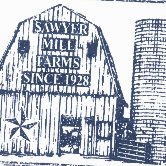 Sawyer Mill Blue Barn Muslin Bleached White Tea Towel 19x28 third image